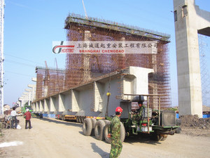 上海A15高速公路-T梁吊装工程